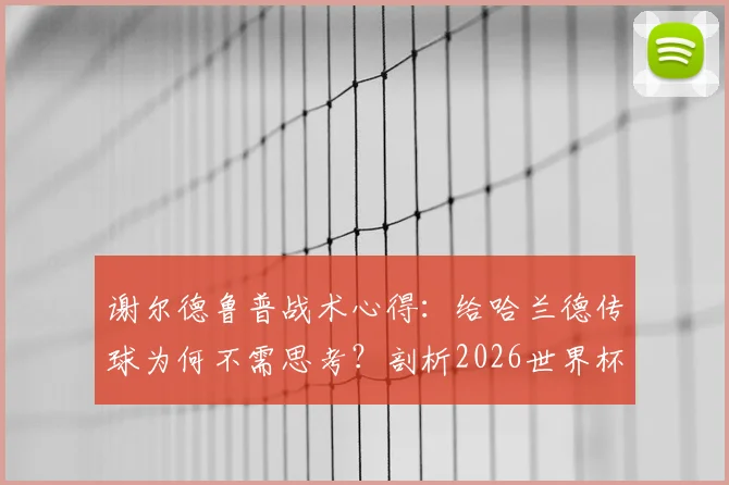谢尔德鲁普战术心得：给哈兰德传球为何不需思考？剖析2026世界杯前曼城核心的进球本能
