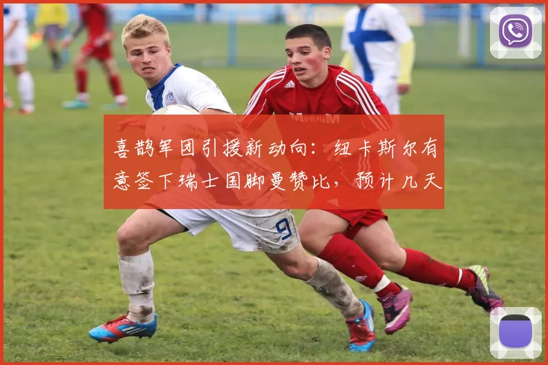 喜鹊军团引援新动向：纽卡斯尔有意签下瑞士国脚曼赞比，预计几天内与弗赖堡展开谈判